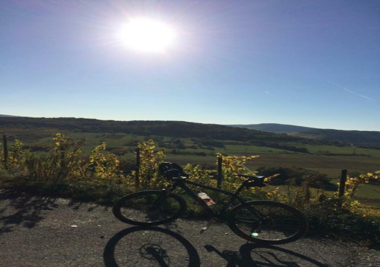 Alter Posthof Lieser Exteriör bild