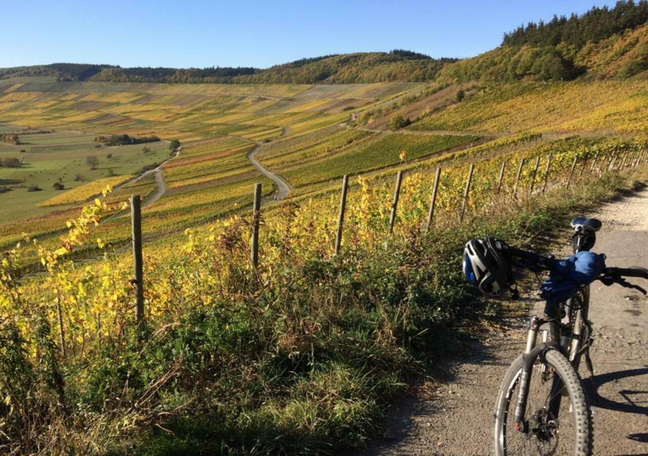 Alter Posthof Lieser Exteriör bild
